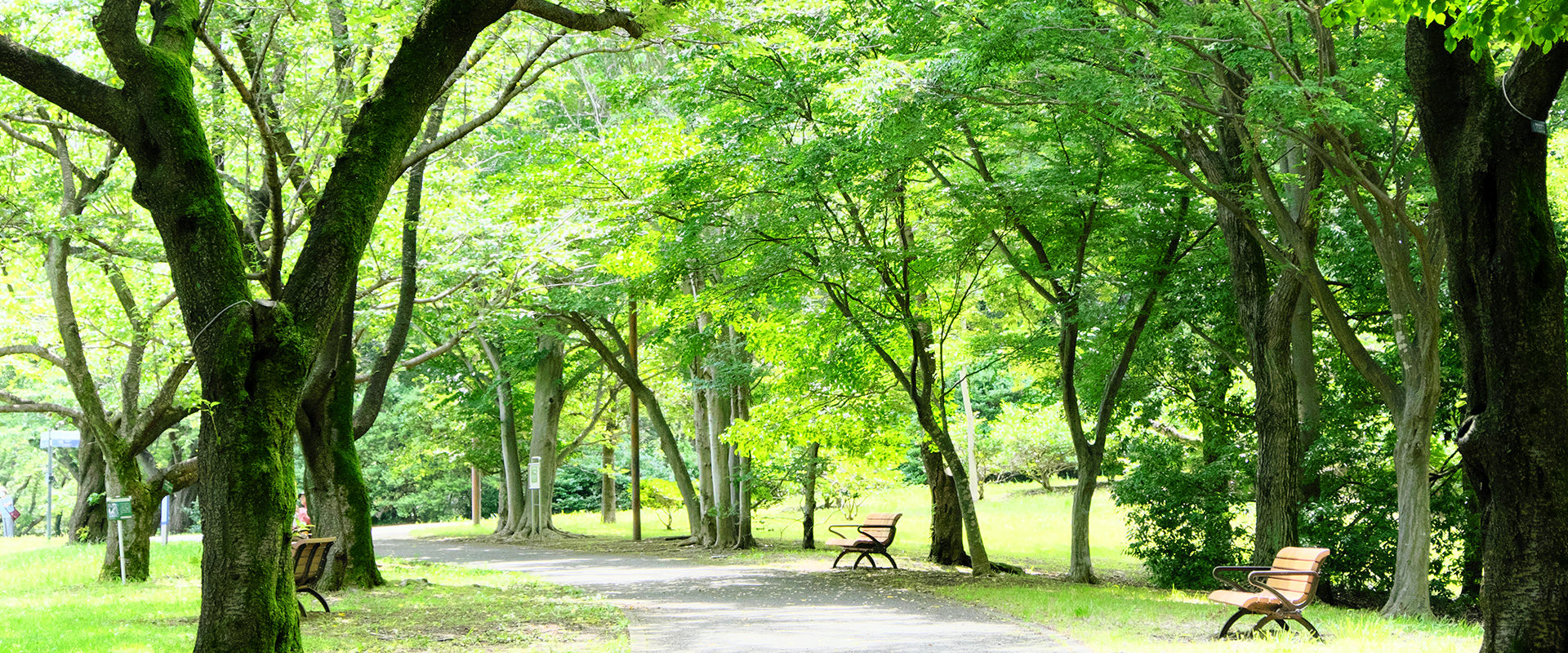 昭和記念公園