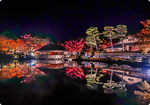 「秋の夜散歩」日本庭園