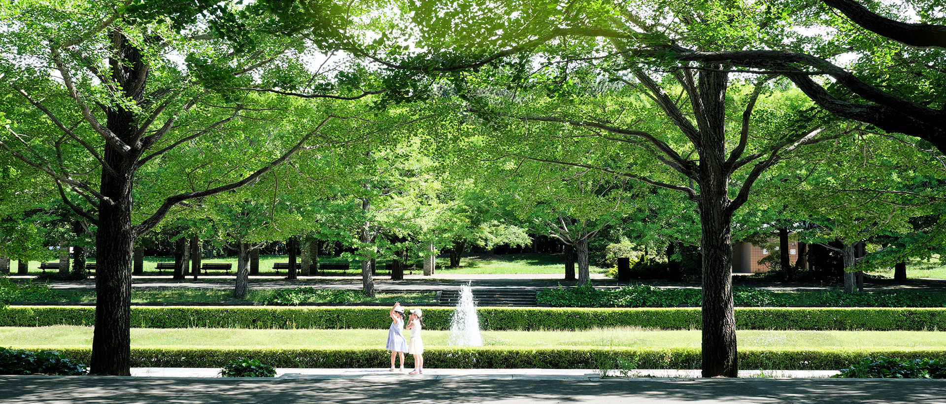 昭和記念公園