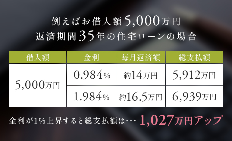 image photo