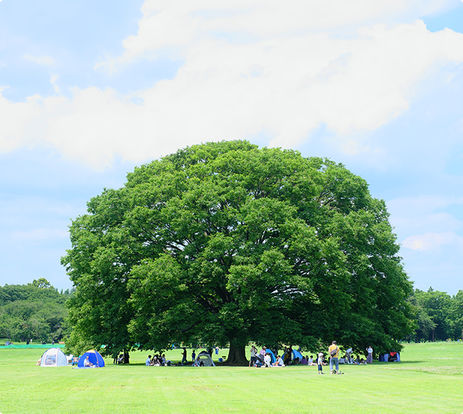 昭和記念公園