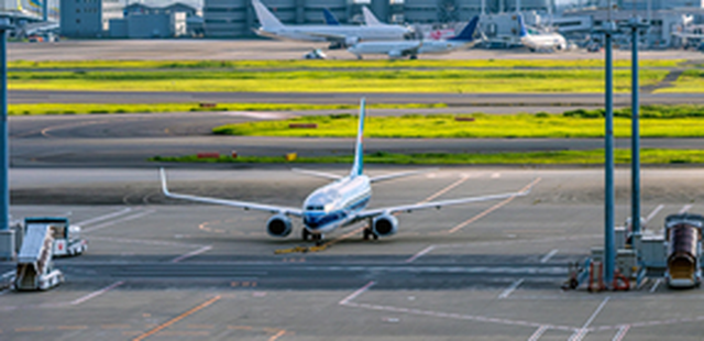 羽田空港の駐機場に並ぶ旅客機