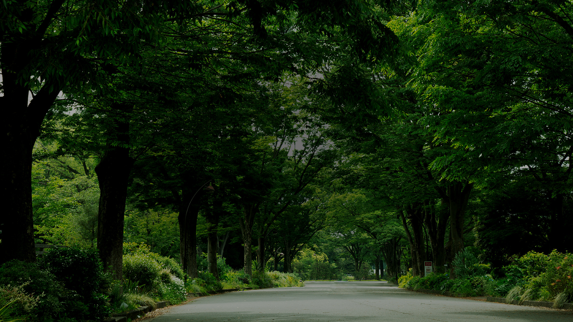 都立駒沢オリンピック公園