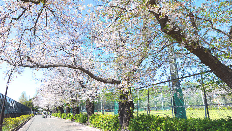 都立駒沢オリンピック公園