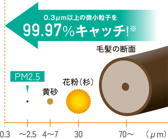 〔粒子径の比較〕