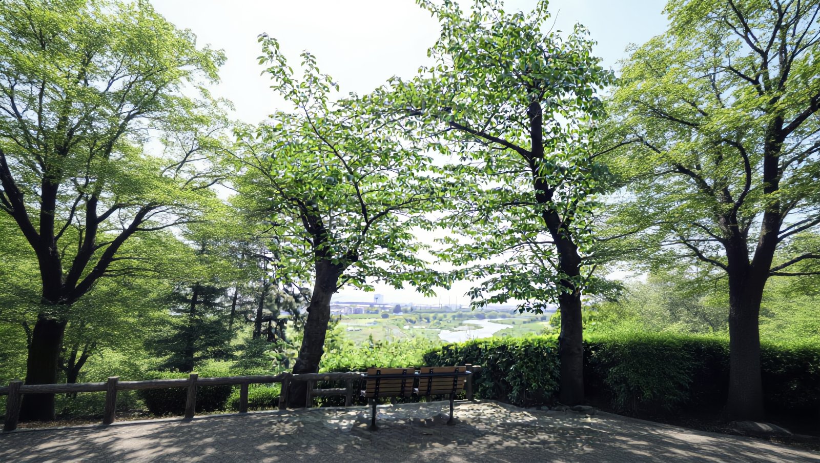 緑越しに望む多摩川