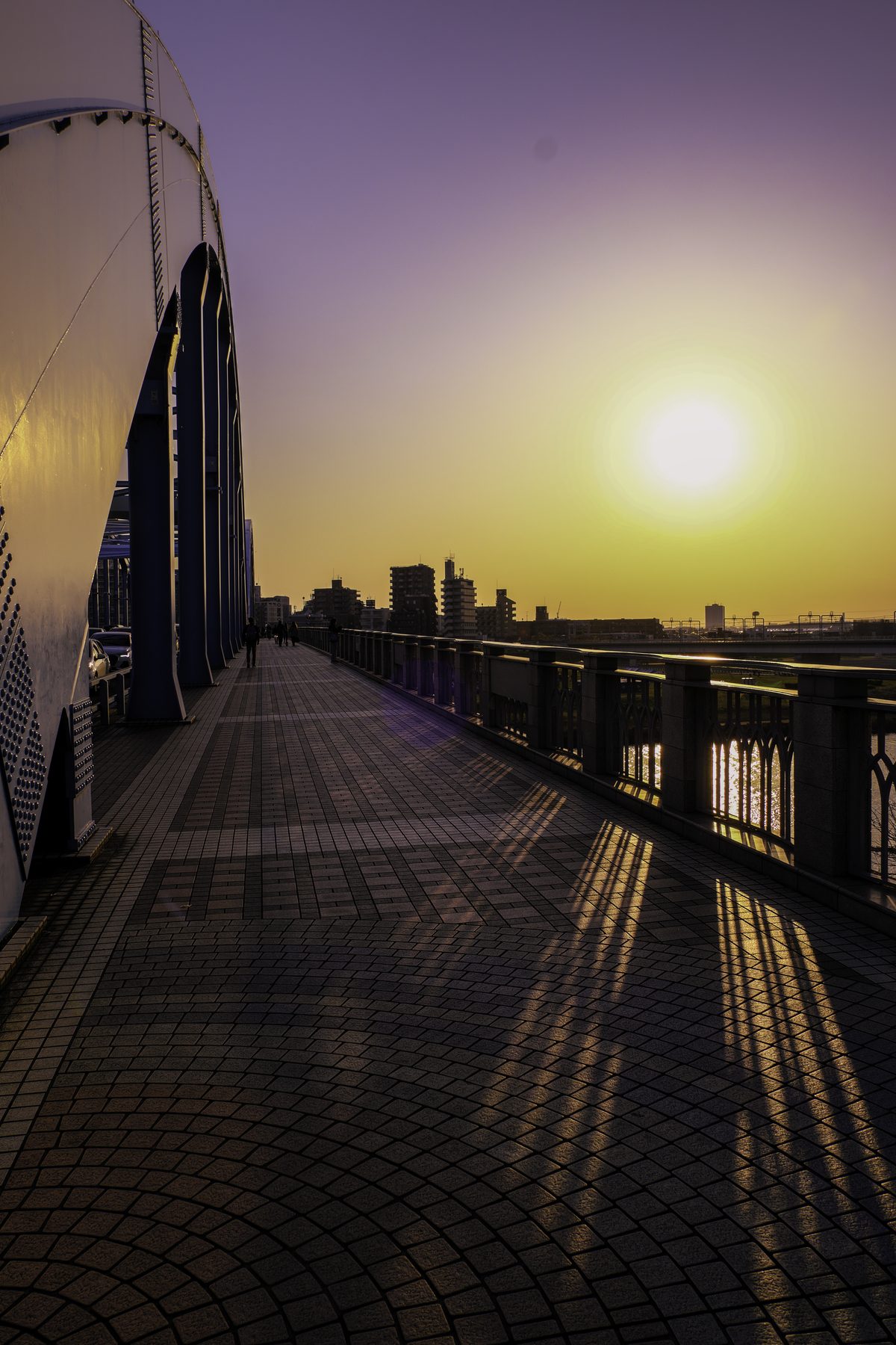 丸子橋の夕景