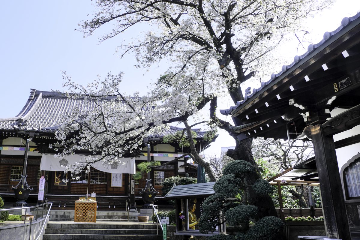 密蔵院