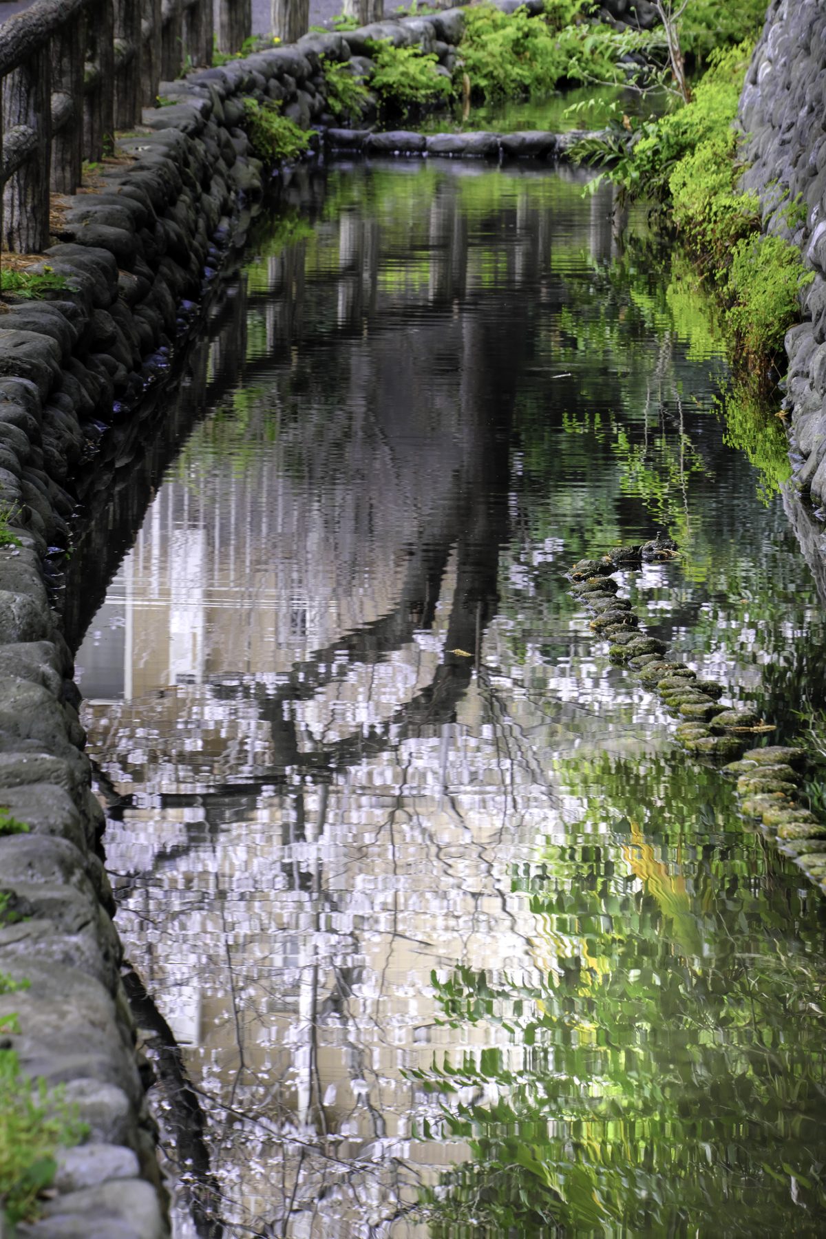 六郷用水の水面