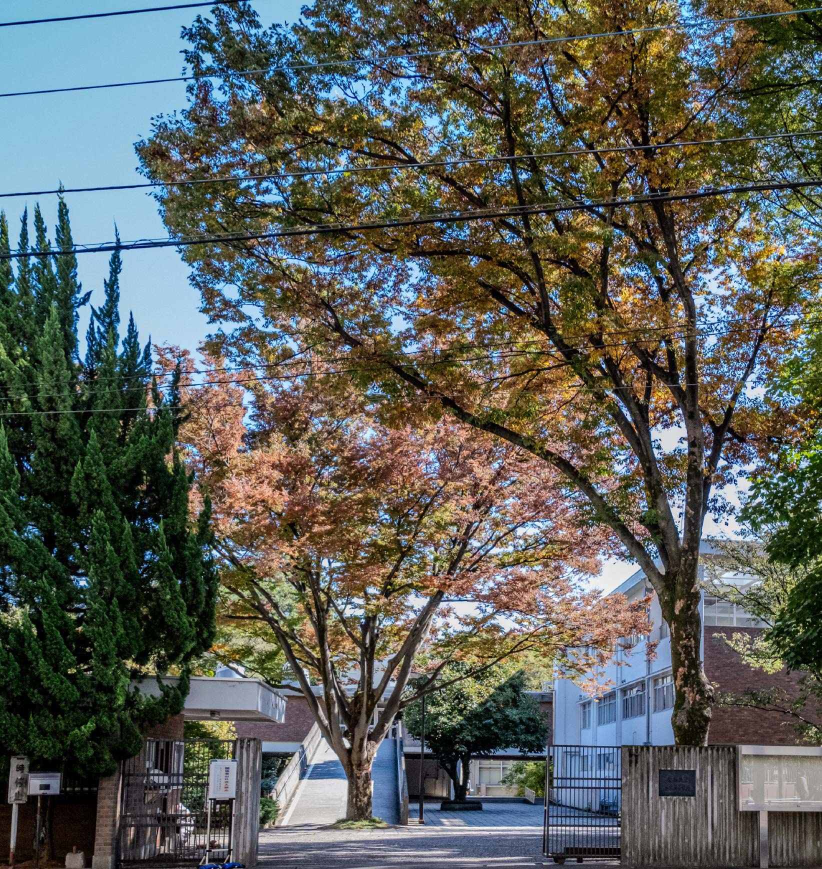 慶應義塾志木高等学校 の写真