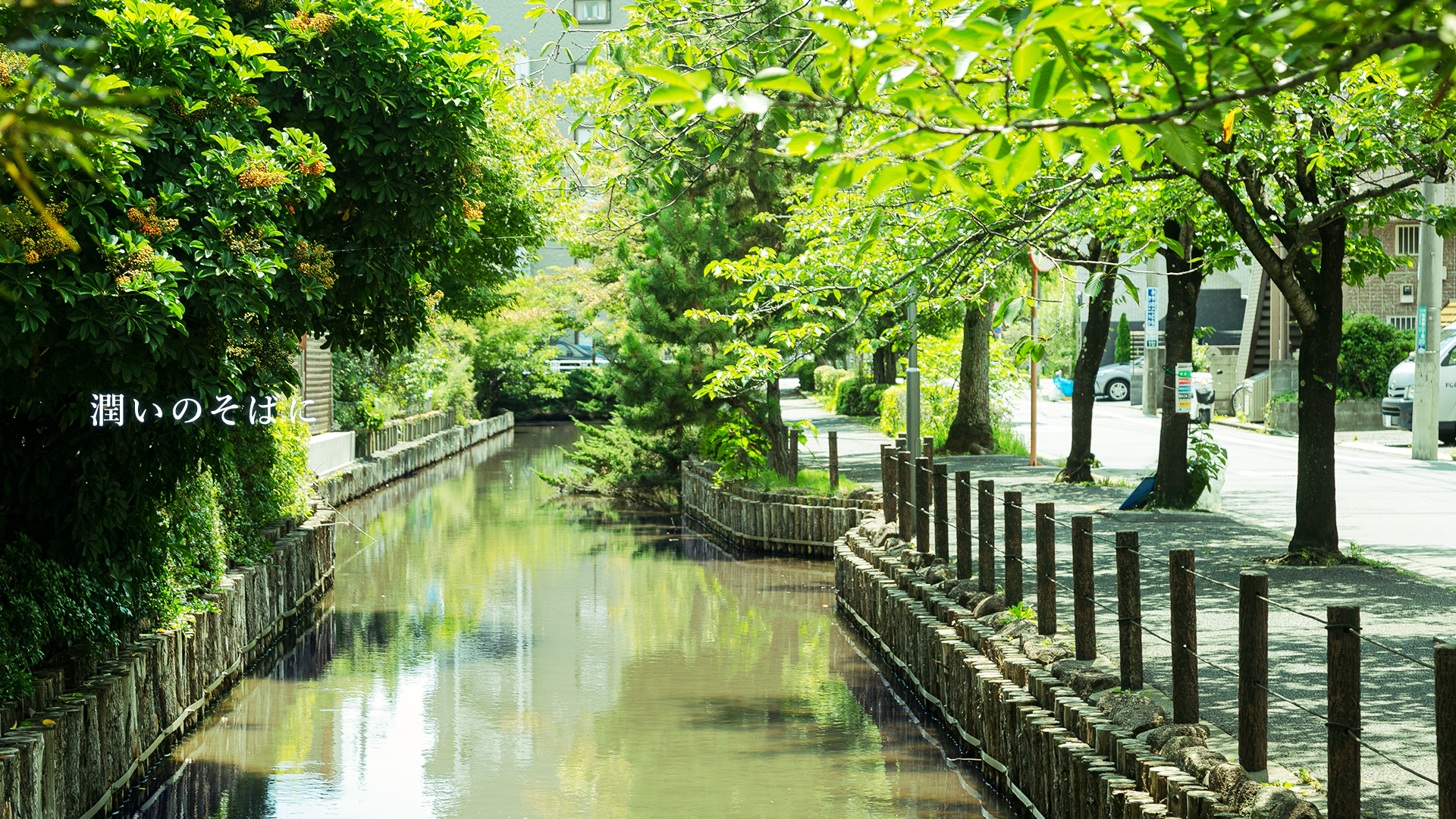 左近川親水緑道