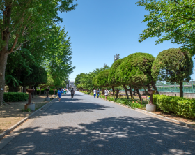 青木町公園