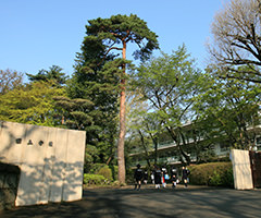 国立学園小学校