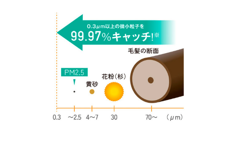 〔粒子径の比較〕