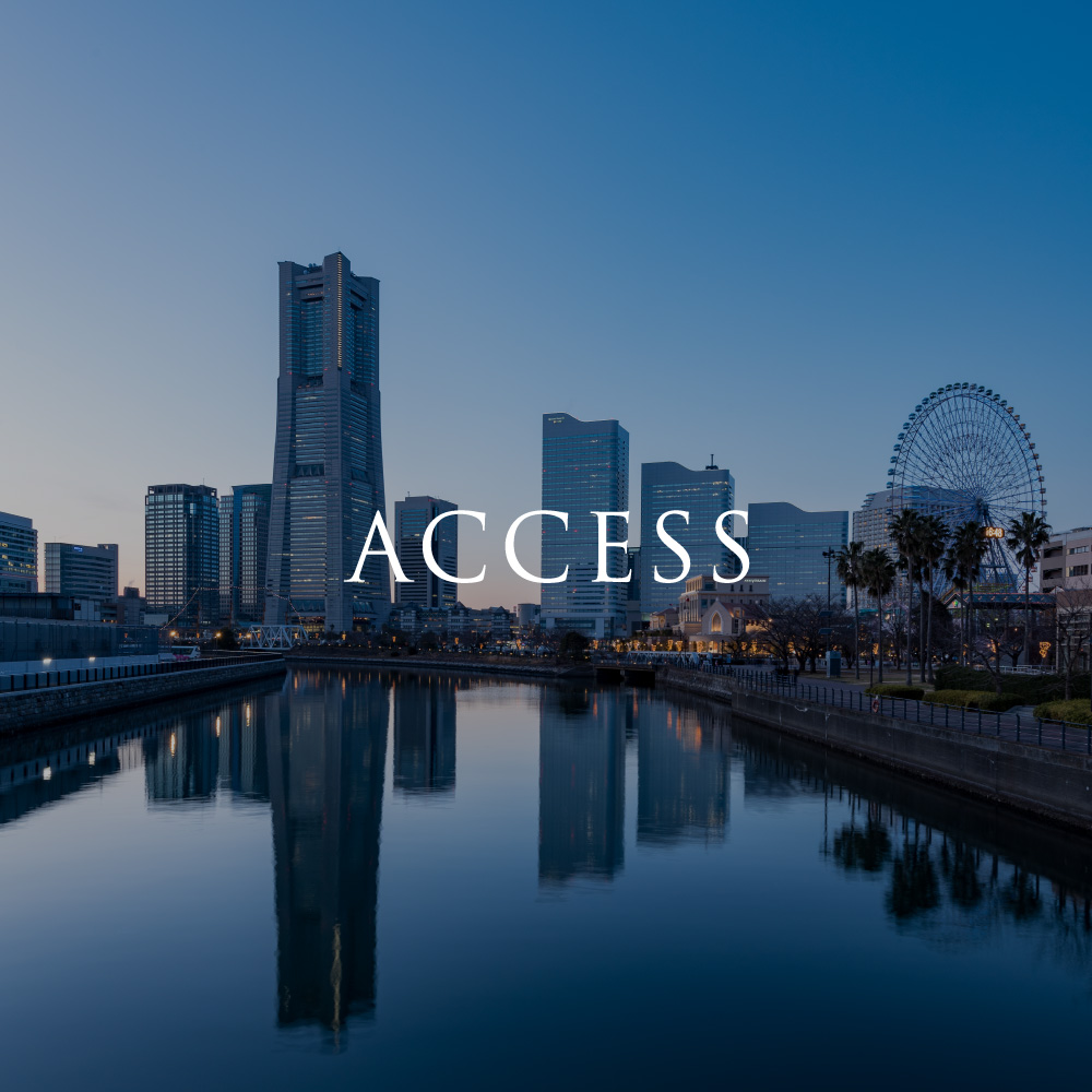 ACCESS