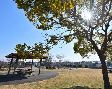 高津東第一公園（徒歩8〜9分）